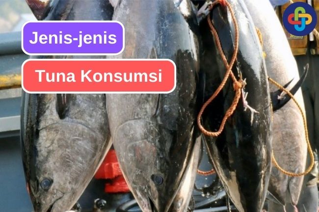 5 Jenis Tuna yang Populer dalam Hidangan Seafood